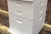 Cotton Boll Pollinators, LLC - Live Bees and Beekeeping Supplies